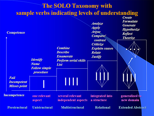 solo_taxonomy.jpg